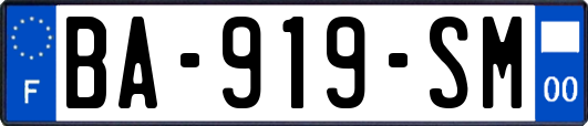 BA-919-SM