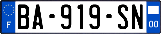 BA-919-SN