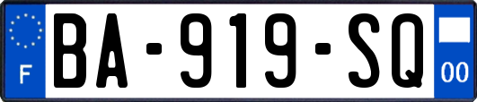 BA-919-SQ