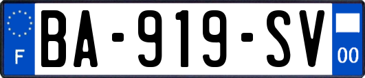 BA-919-SV