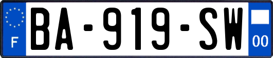 BA-919-SW