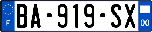 BA-919-SX