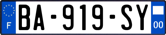 BA-919-SY