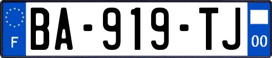 BA-919-TJ