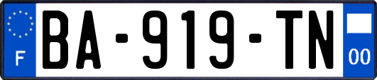 BA-919-TN