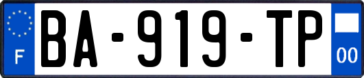 BA-919-TP
