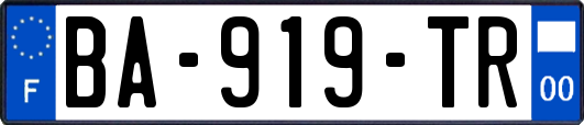 BA-919-TR