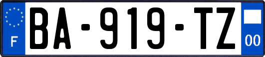 BA-919-TZ