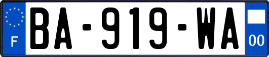 BA-919-WA