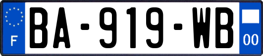 BA-919-WB