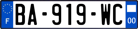 BA-919-WC