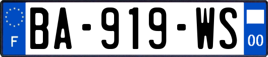 BA-919-WS