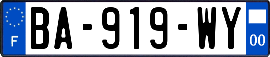 BA-919-WY