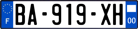 BA-919-XH