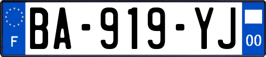 BA-919-YJ