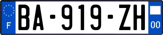 BA-919-ZH