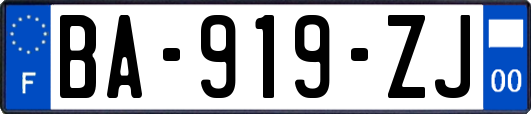 BA-919-ZJ