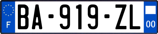 BA-919-ZL
