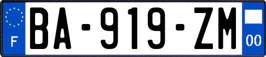 BA-919-ZM