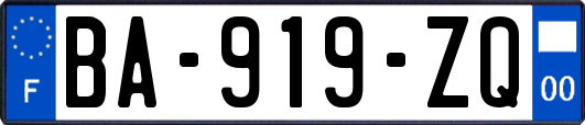 BA-919-ZQ