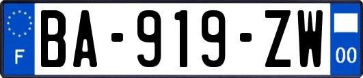 BA-919-ZW