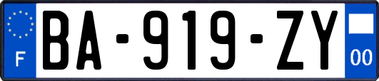 BA-919-ZY