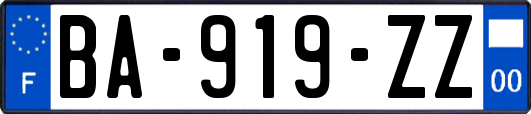 BA-919-ZZ