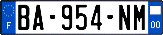 BA-954-NM