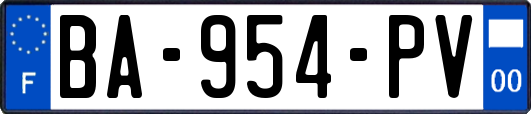 BA-954-PV
