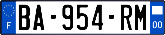 BA-954-RM