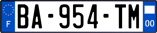 BA-954-TM