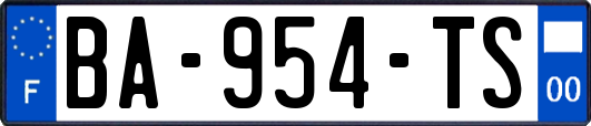 BA-954-TS
