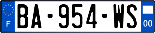 BA-954-WS