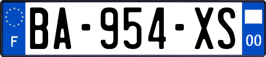 BA-954-XS