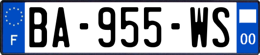 BA-955-WS