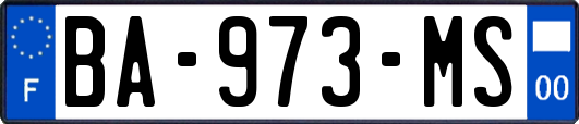 BA-973-MS