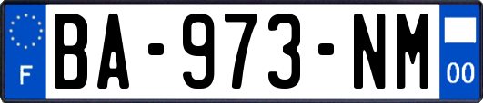 BA-973-NM