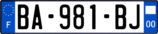 BA-981-BJ