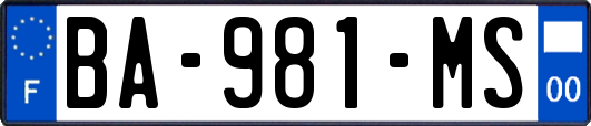 BA-981-MS