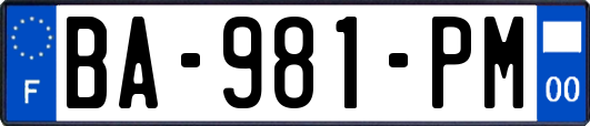 BA-981-PM