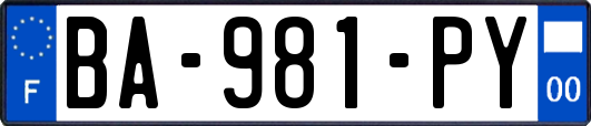 BA-981-PY