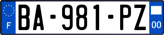 BA-981-PZ