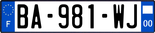 BA-981-WJ