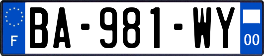 BA-981-WY
