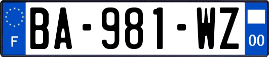 BA-981-WZ