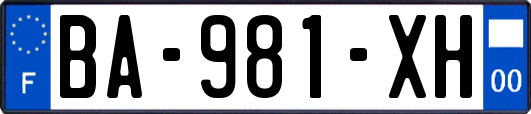 BA-981-XH