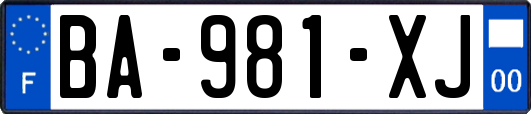 BA-981-XJ