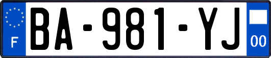 BA-981-YJ
