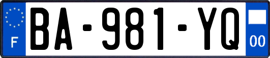 BA-981-YQ