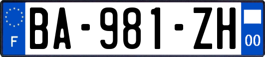 BA-981-ZH